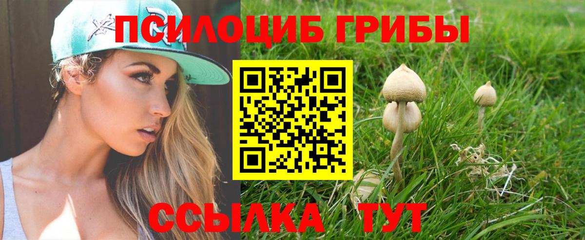 Псилоцибиновые грибы мицелий Амурск