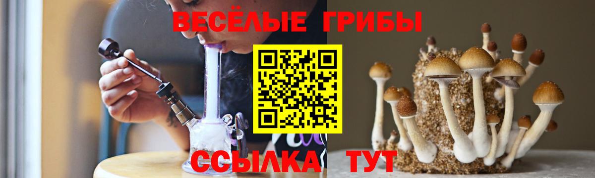 Псилоцибиновые грибы прущие грибы  Вход с VPN  Амурск 
